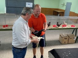 Tierbesprechung 2022 in Weener / Ostfriesland